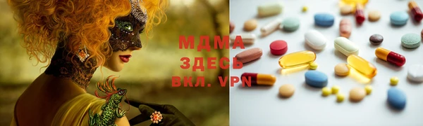 индика Лабытнанги