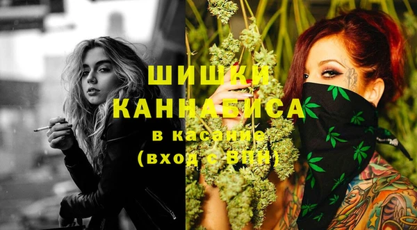винт Ладушкин