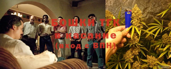 индика Лабытнанги