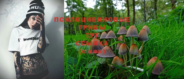винт Ладушкин