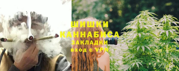 винт Ладушкин