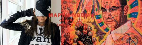 индика Лабытнанги