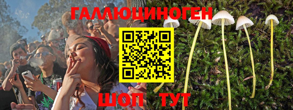 Галлюциногенные грибы Magic Shrooms Ярцево